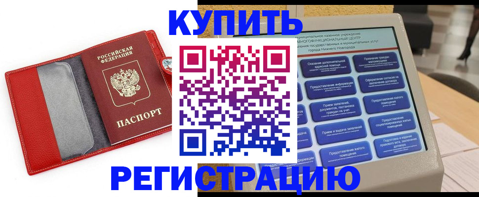 прописка для школы в Мурманской области